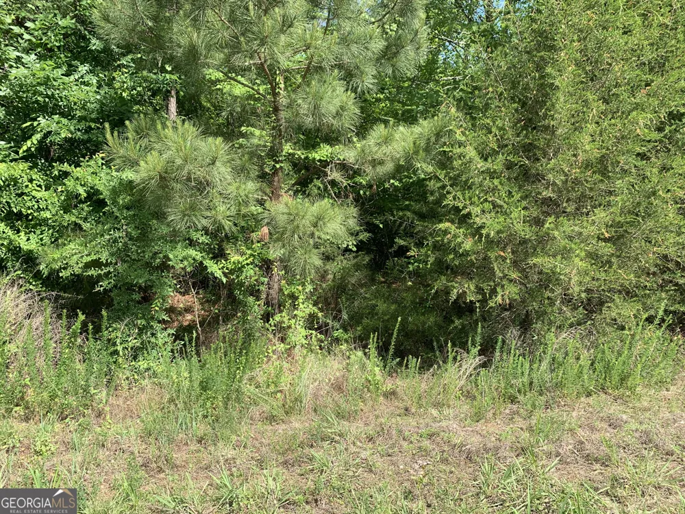 1208 Hornets Bridge DR Elberton, GA 30635