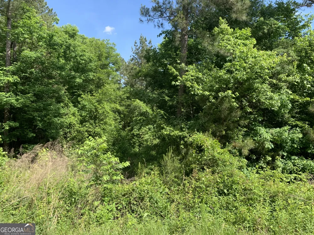 1208 Hornets Bridge DR Elberton, GA 30635