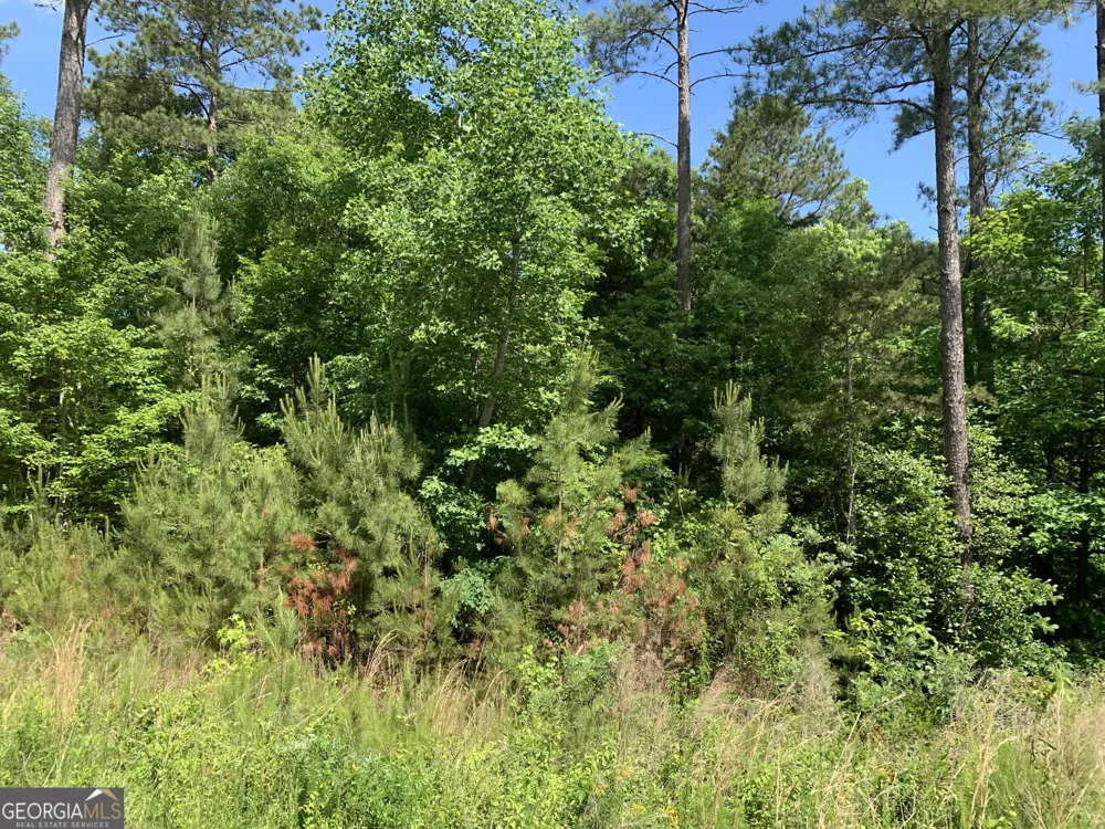 1208 Hornets Bridge DR Elberton, GA 30635