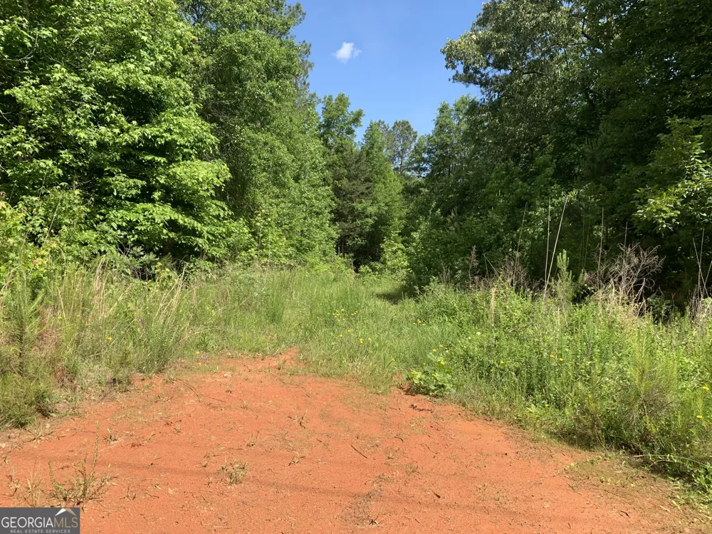 1208 Hornets Bridge DR Elberton, GA 30635