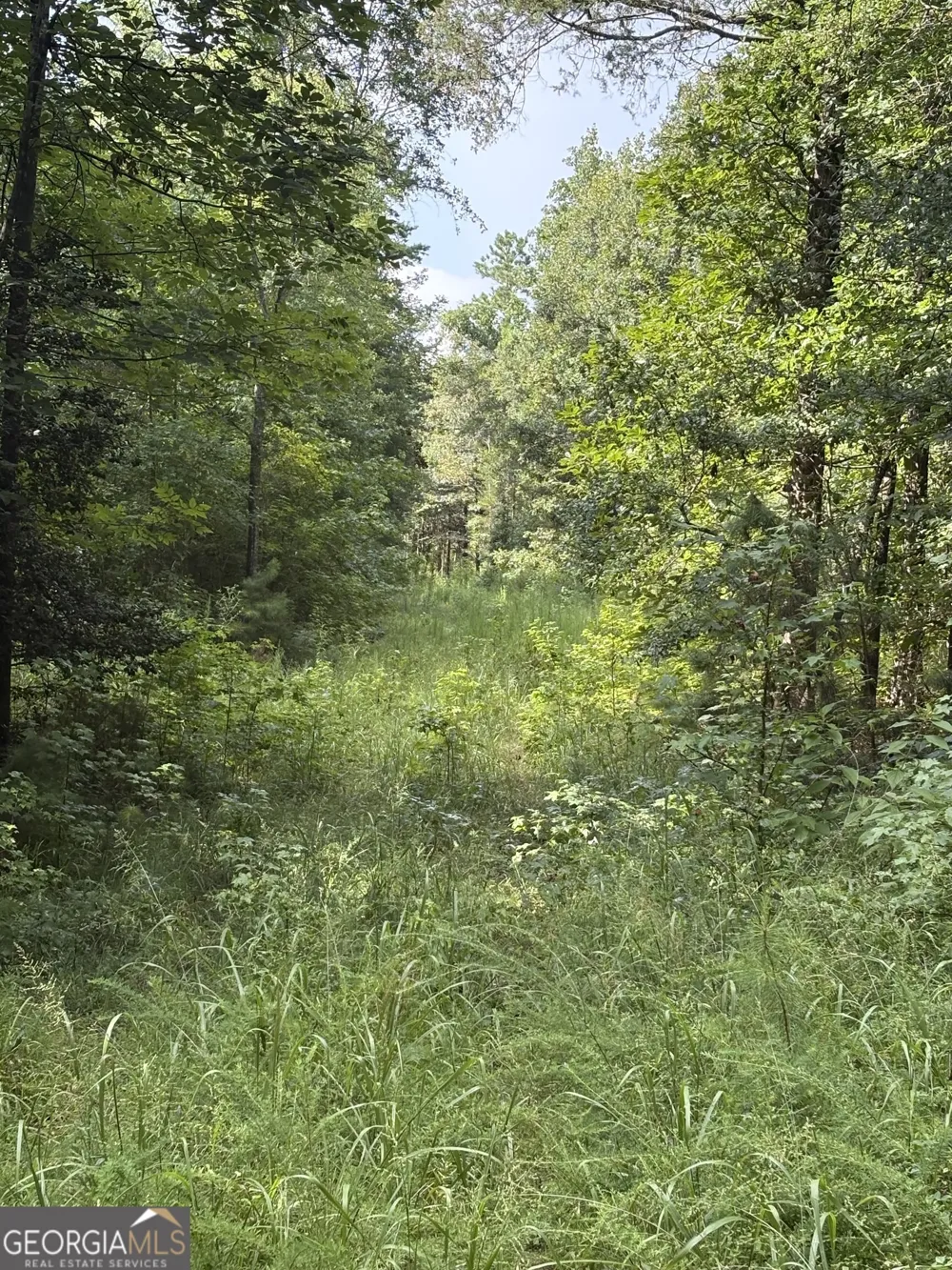 1208 Hornets Bridge DR Elberton, GA 30635