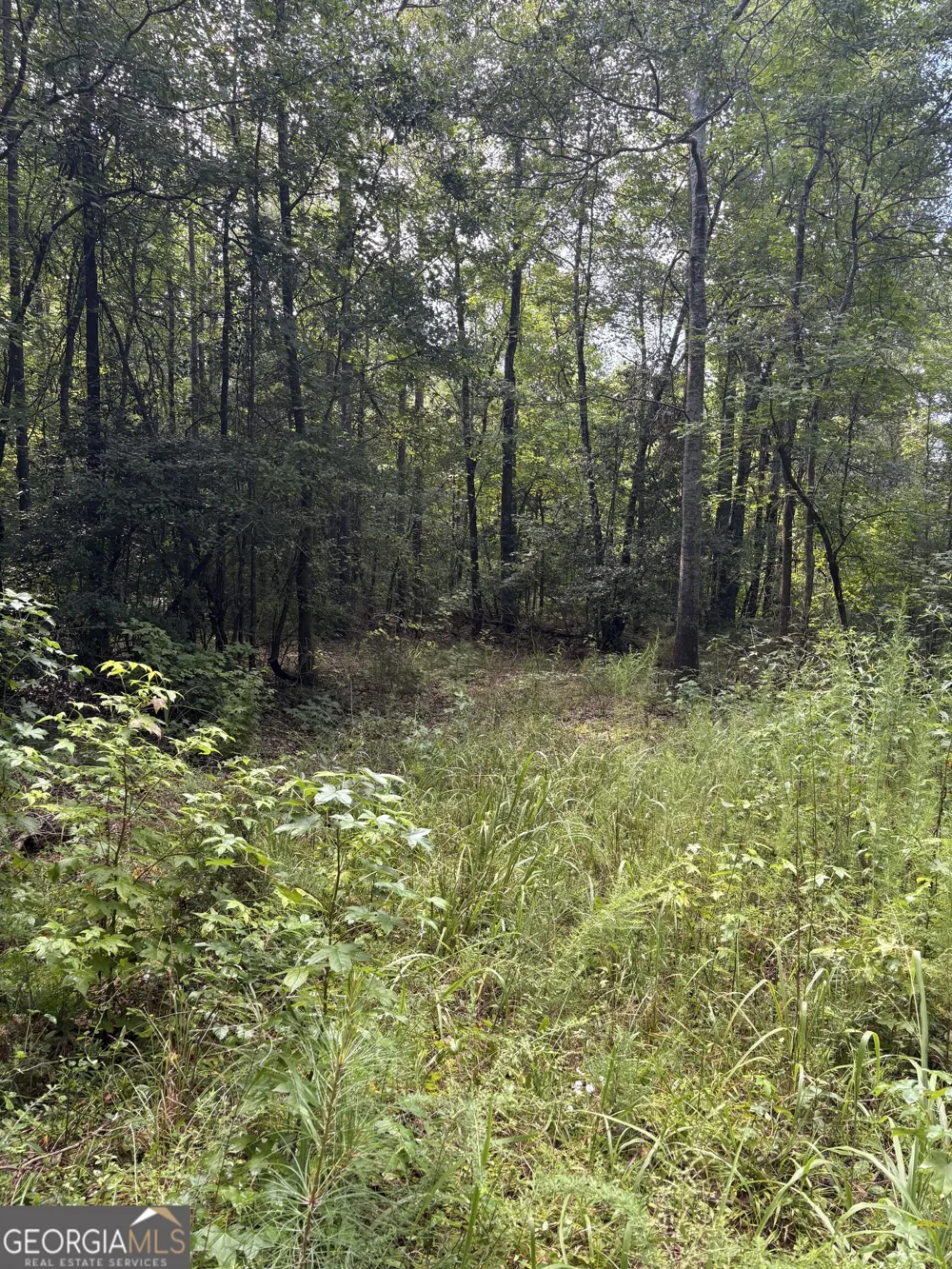 1208 Hornets Bridge DR Elberton, GA 30635