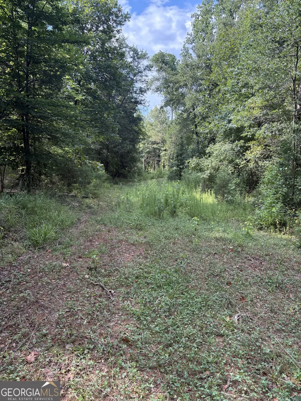 1208 Hornets Bridge DR Elberton, GA 30635