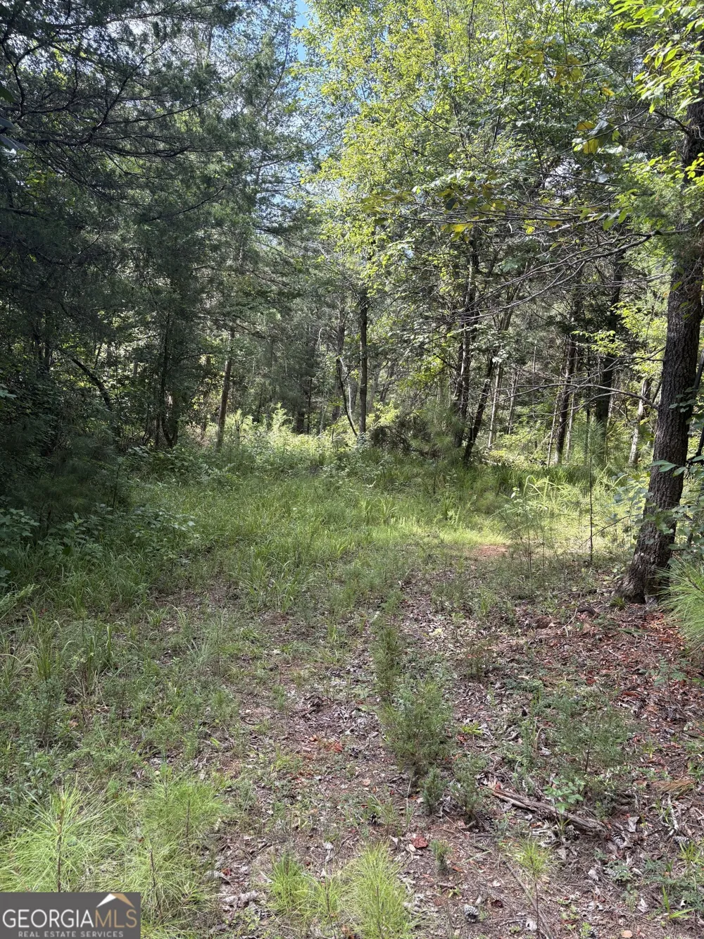 1208 Hornets Bridge DR Elberton, GA 30635