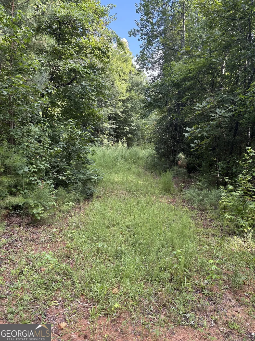 1208 Hornets Bridge DR Elberton, GA 30635