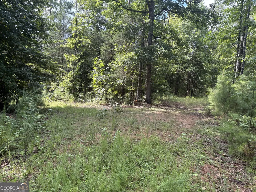 1208 Hornets Bridge DR Elberton, GA 30635
