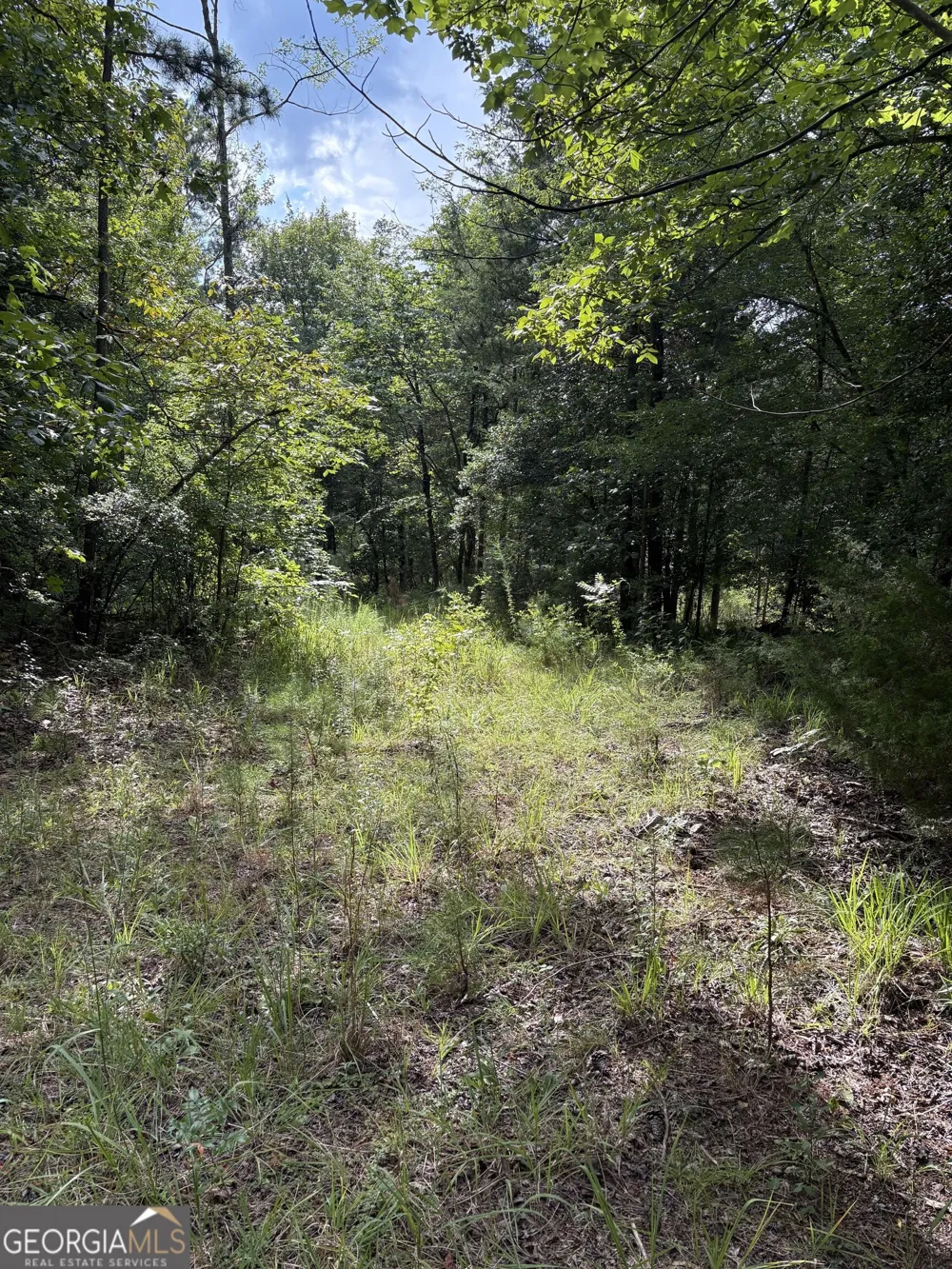 1208 Hornets Bridge DR Elberton, GA 30635