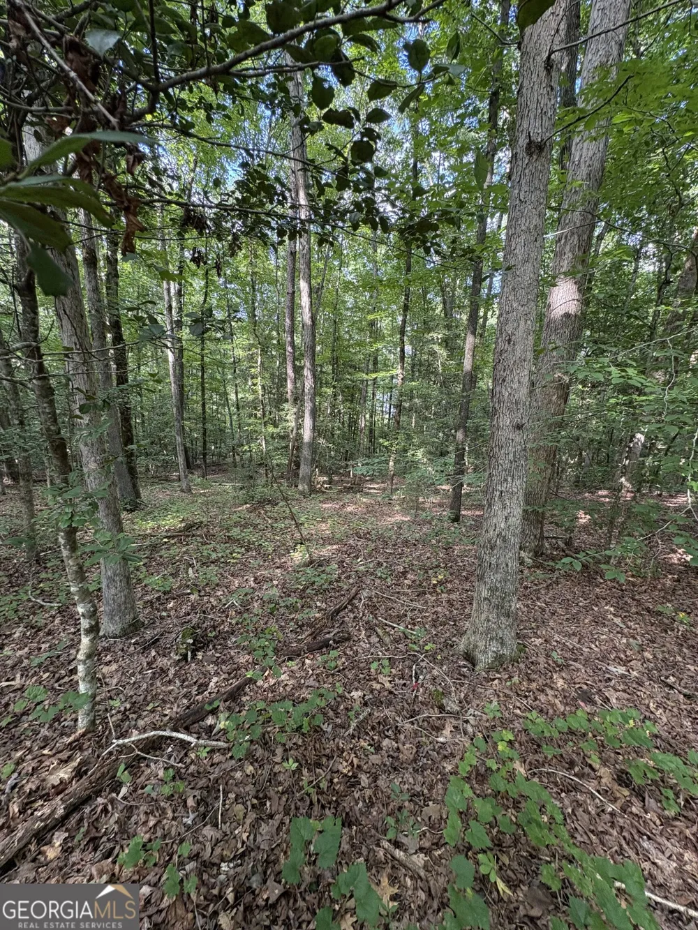 1208 Hornets Bridge DR Elberton, GA 30635