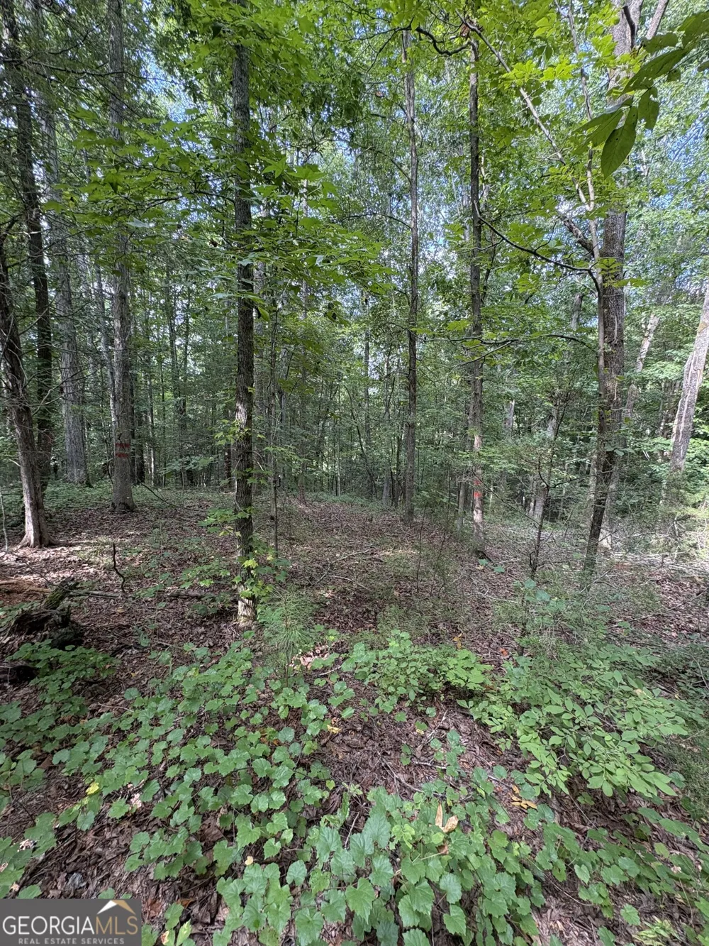 1208 Hornets Bridge DR Elberton, GA 30635
