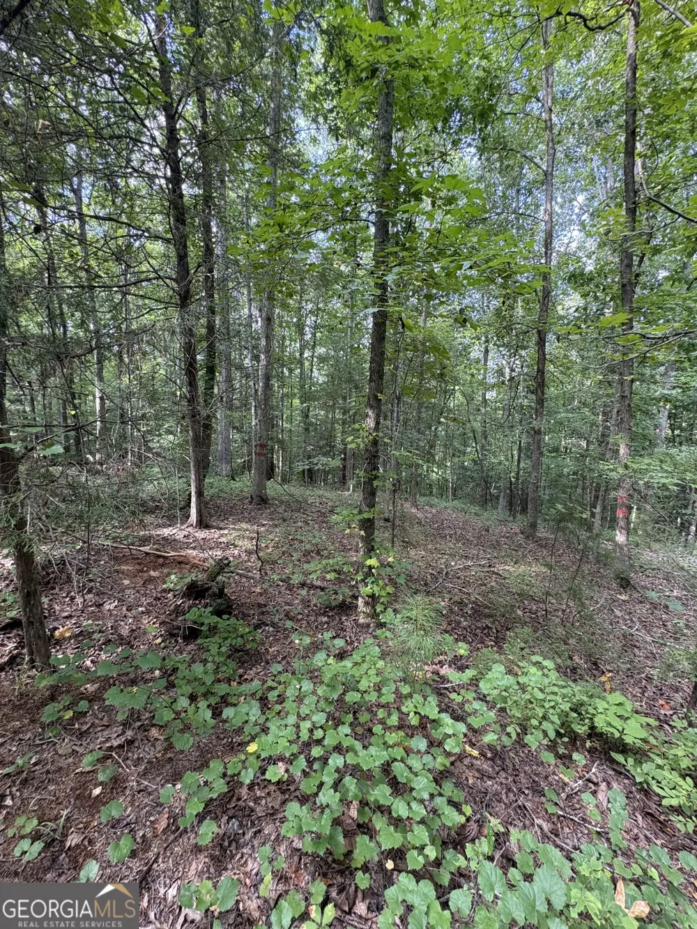 1208 Hornets Bridge DR Elberton, GA 30635