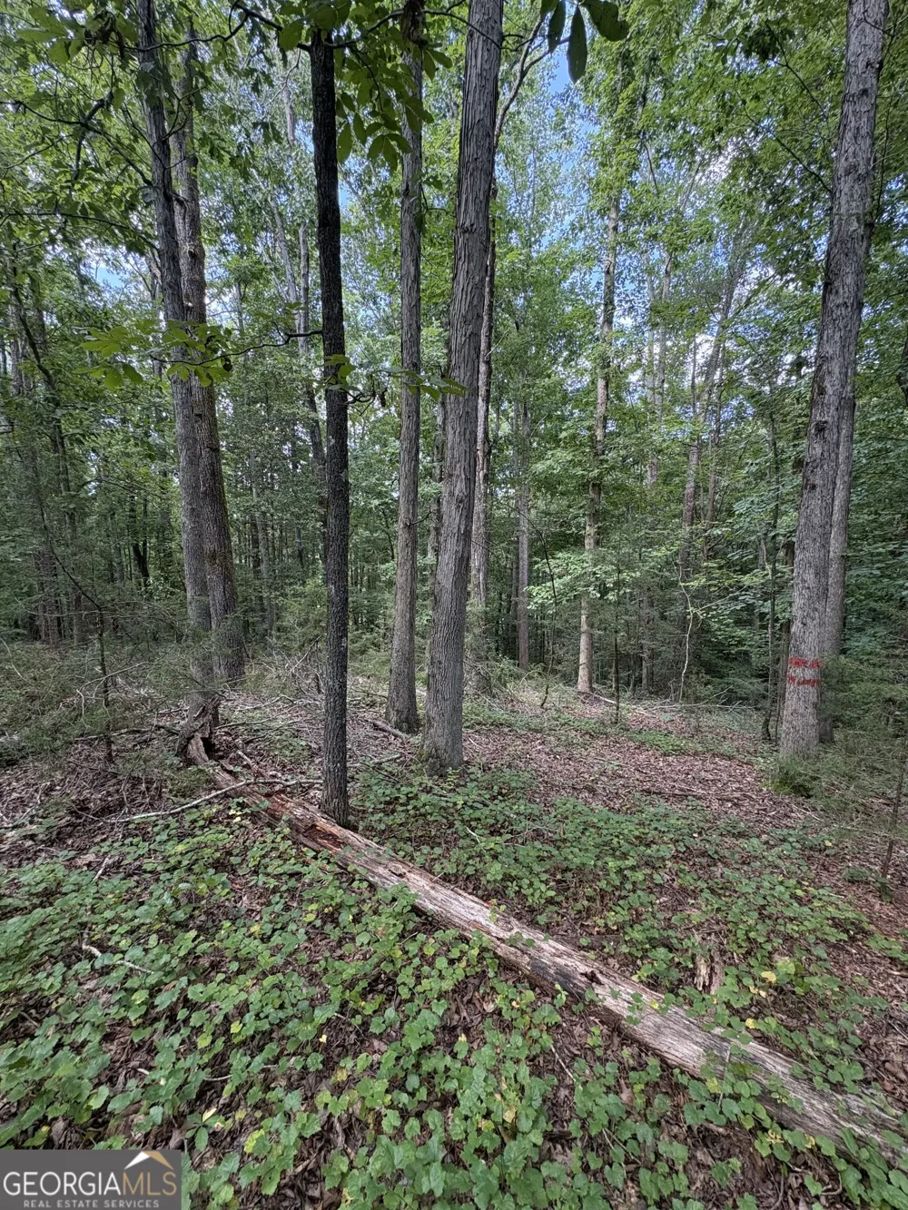 1208 Hornets Bridge DR Elberton, GA 30635