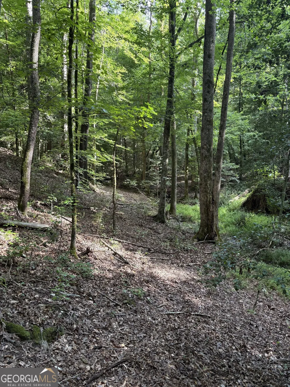 1208 Hornets Bridge DR Elberton, GA 30635