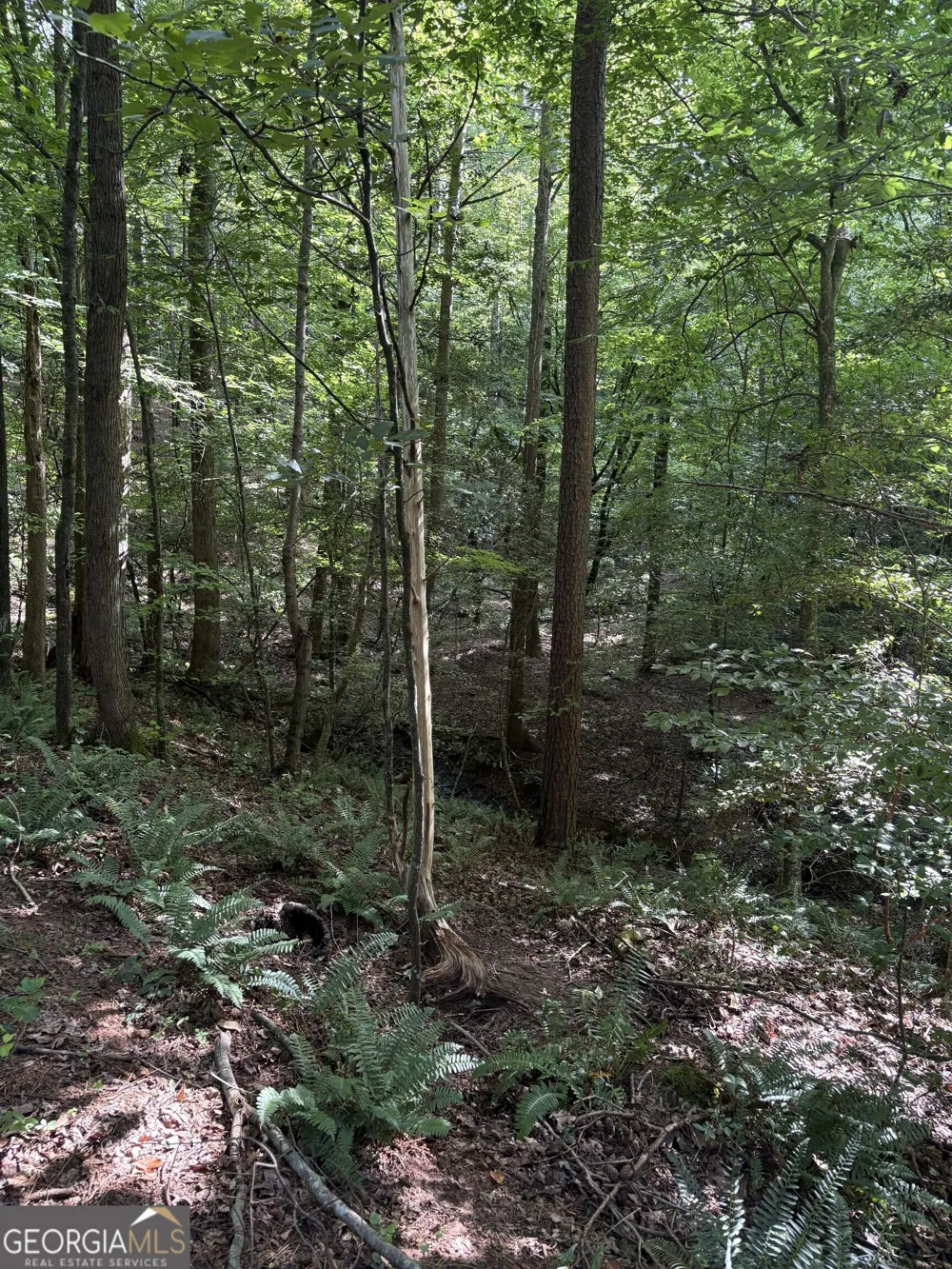 1208 Hornets Bridge DR Elberton, GA 30635
