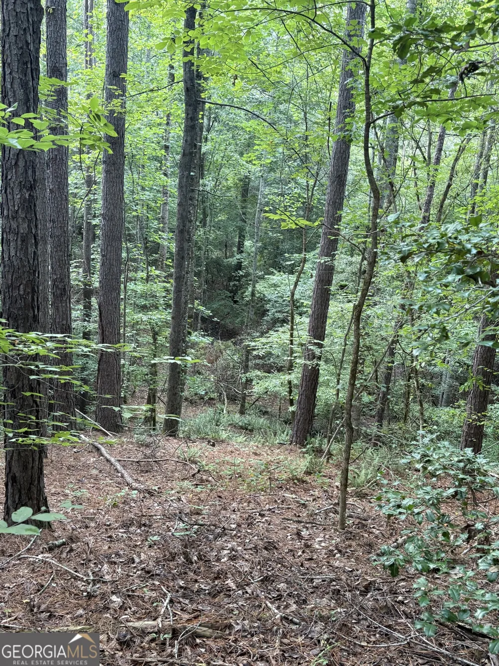 1208 Hornets Bridge DR Elberton, GA 30635