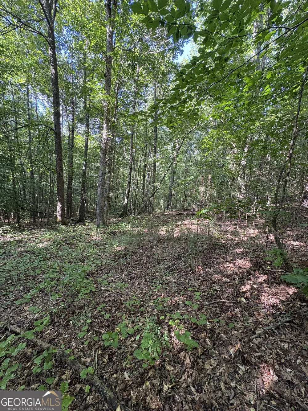 1208 Hornets Bridge DR Elberton, GA 30635