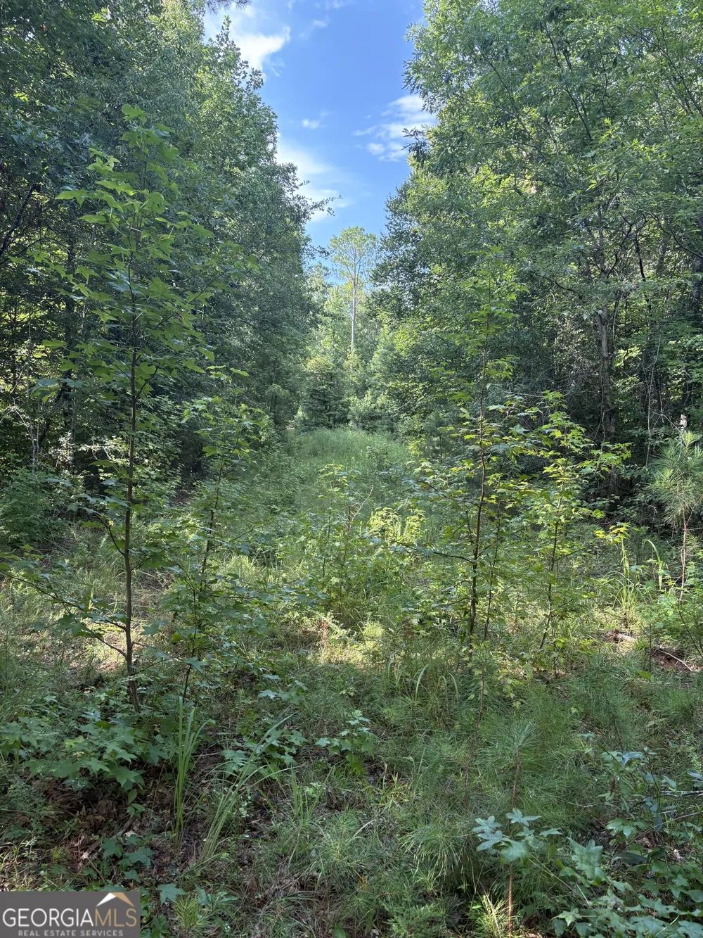 1208 Hornets Bridge DR Elberton, GA 30635