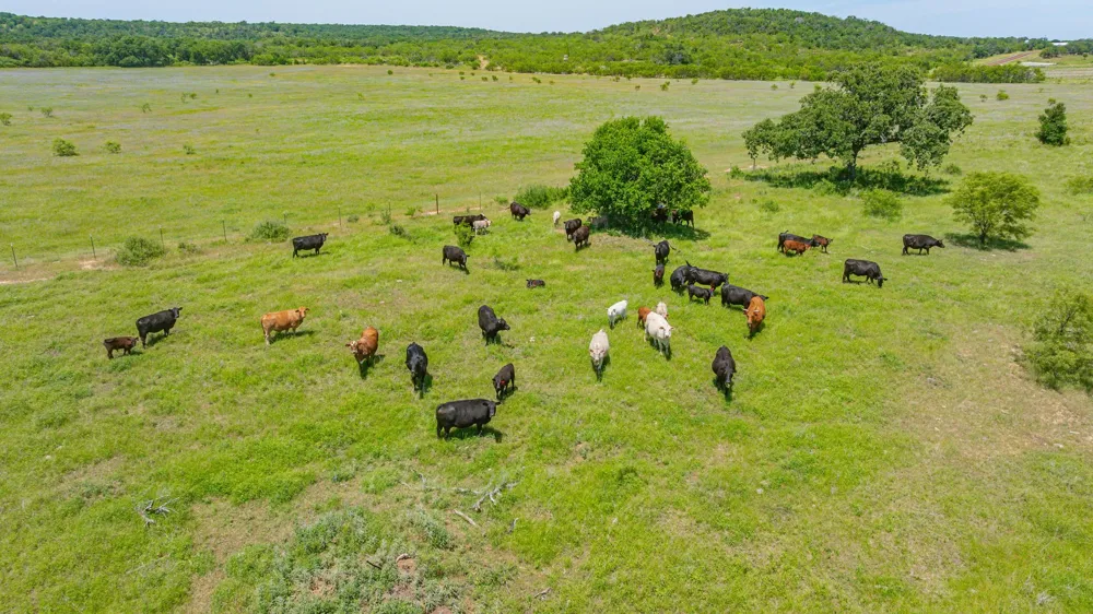 19514 S FM 4 Lipan, TX 76462