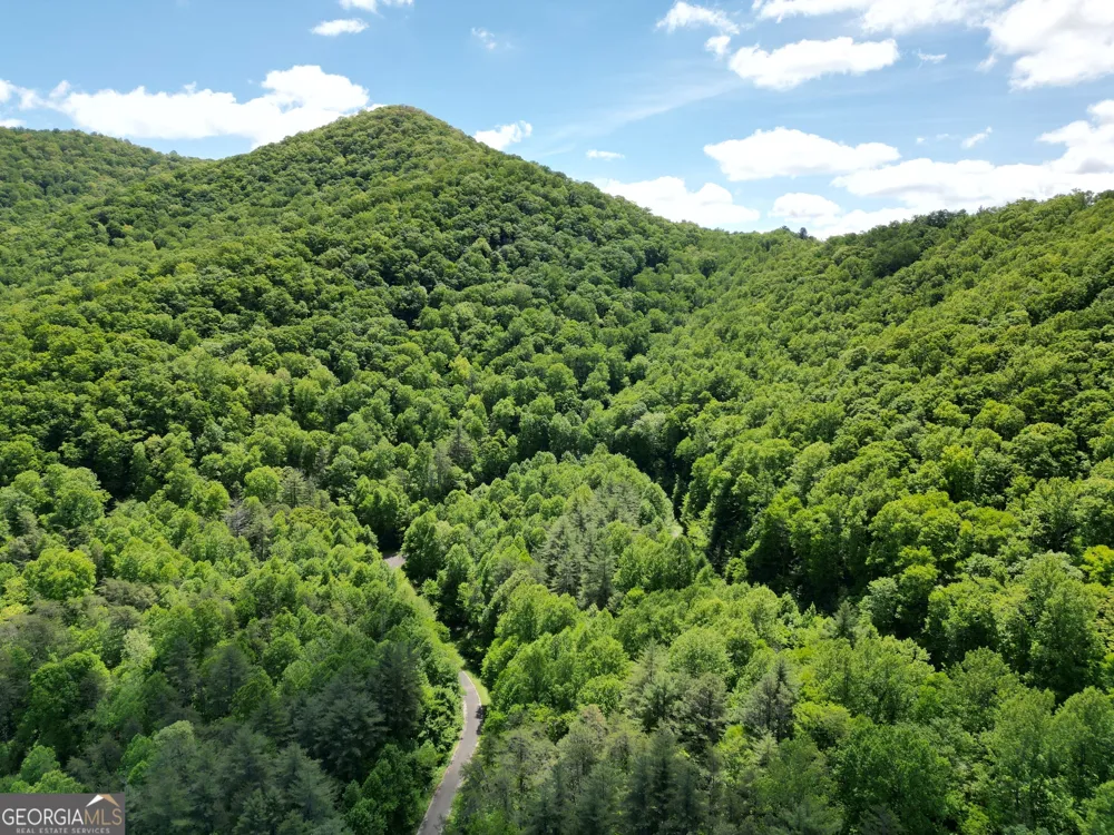 0 Shake Hollow Rabun Gap, GA 30568
