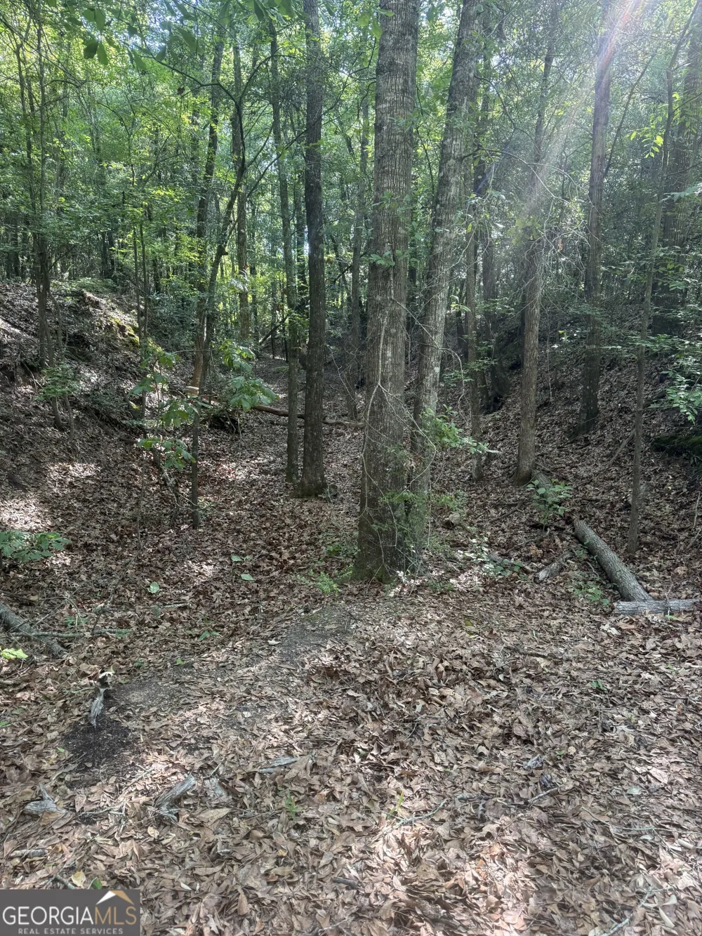 0 Thomas ST Montezuma, GA 31063