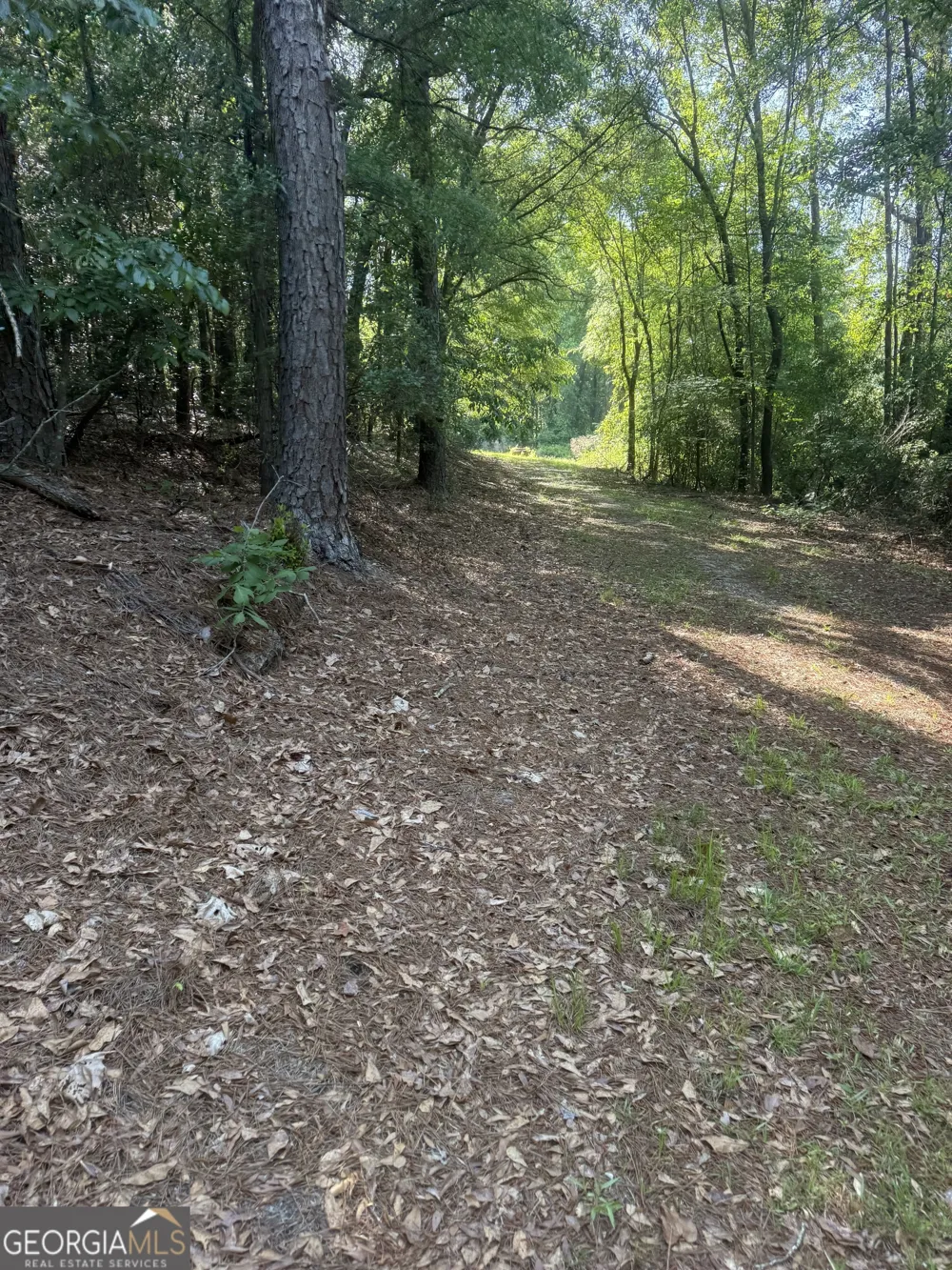 0 Thomas ST Montezuma, GA 31063