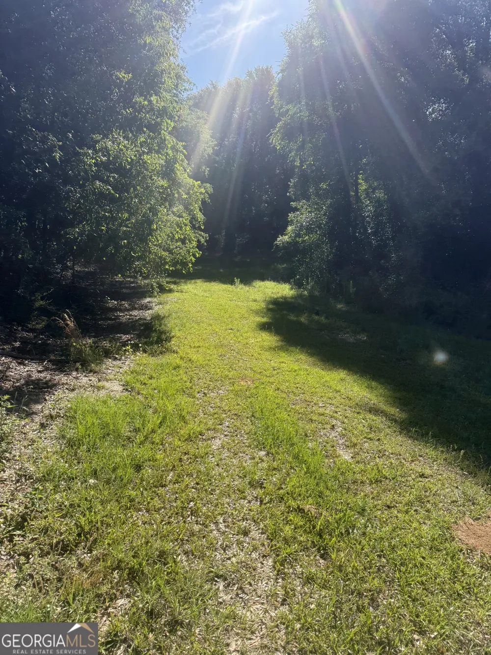 0 Thomas ST Montezuma, GA 31063