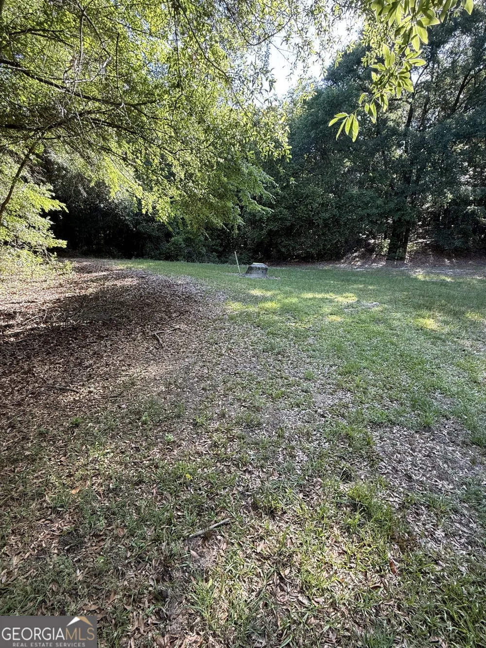 0 Thomas ST Montezuma, GA 31063