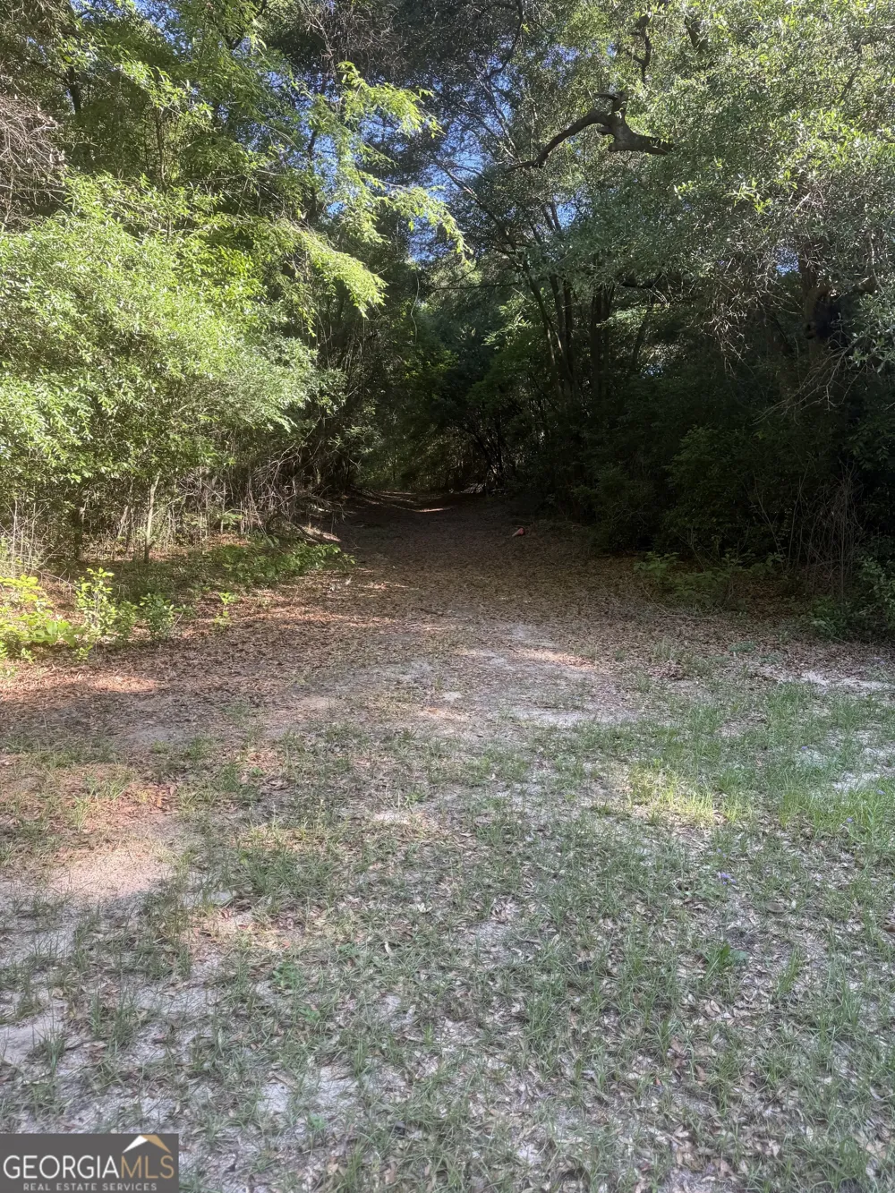 0 Thomas ST Montezuma, GA 31063
