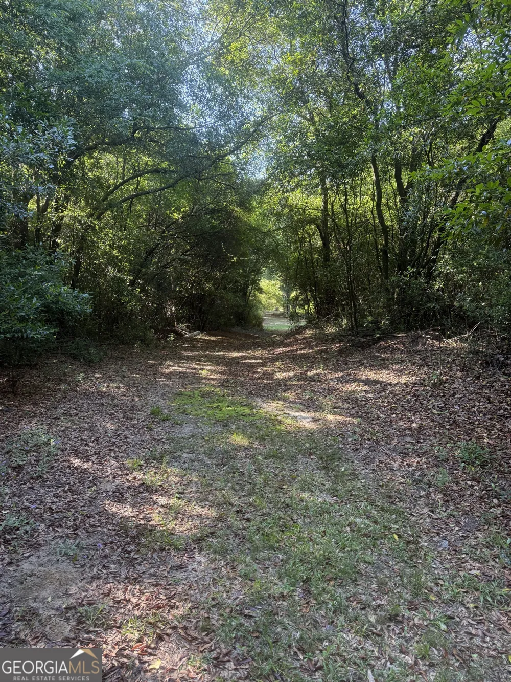0 Thomas ST Montezuma, GA 31063