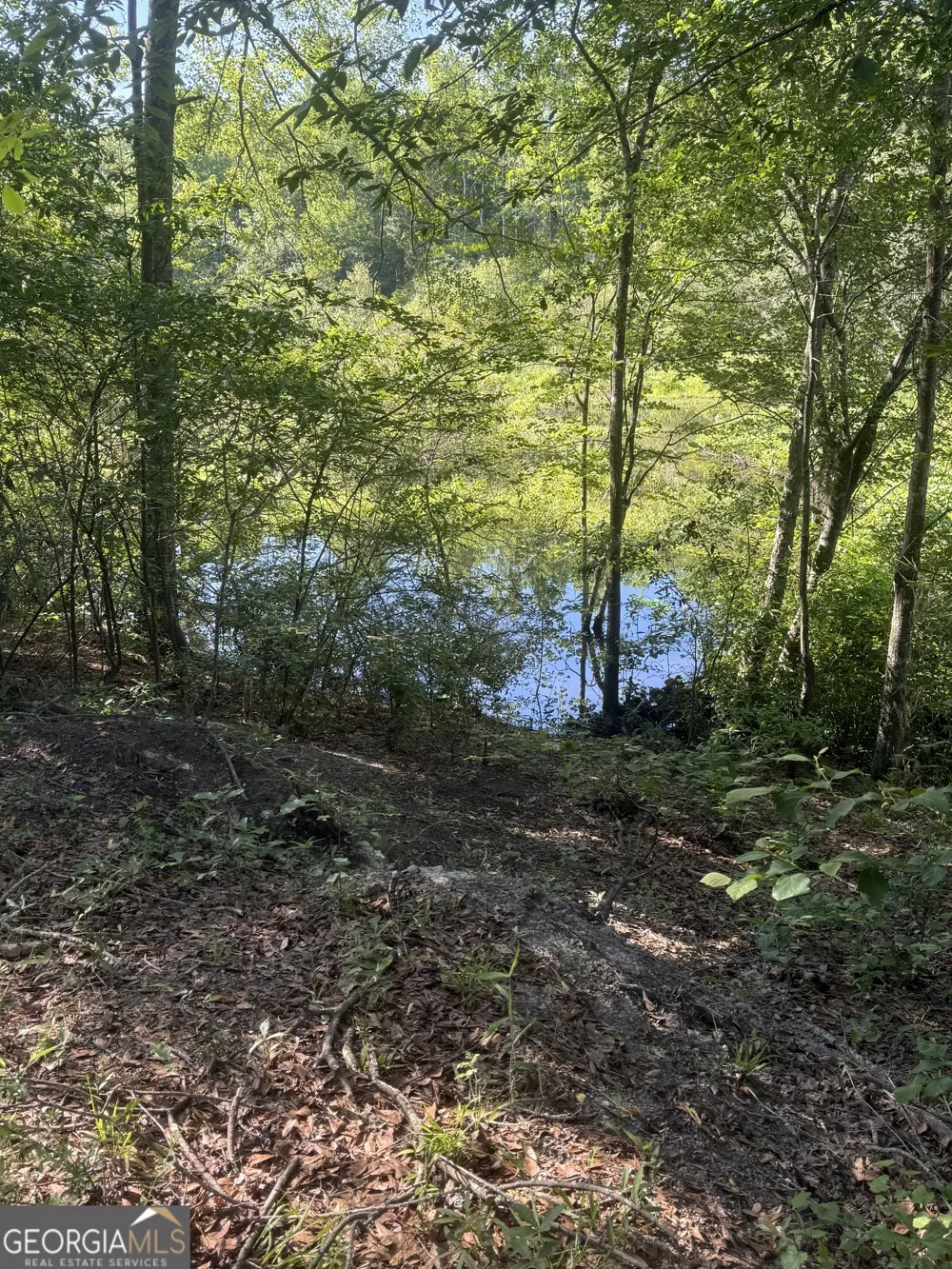 0 Thomas ST Montezuma, GA 31063