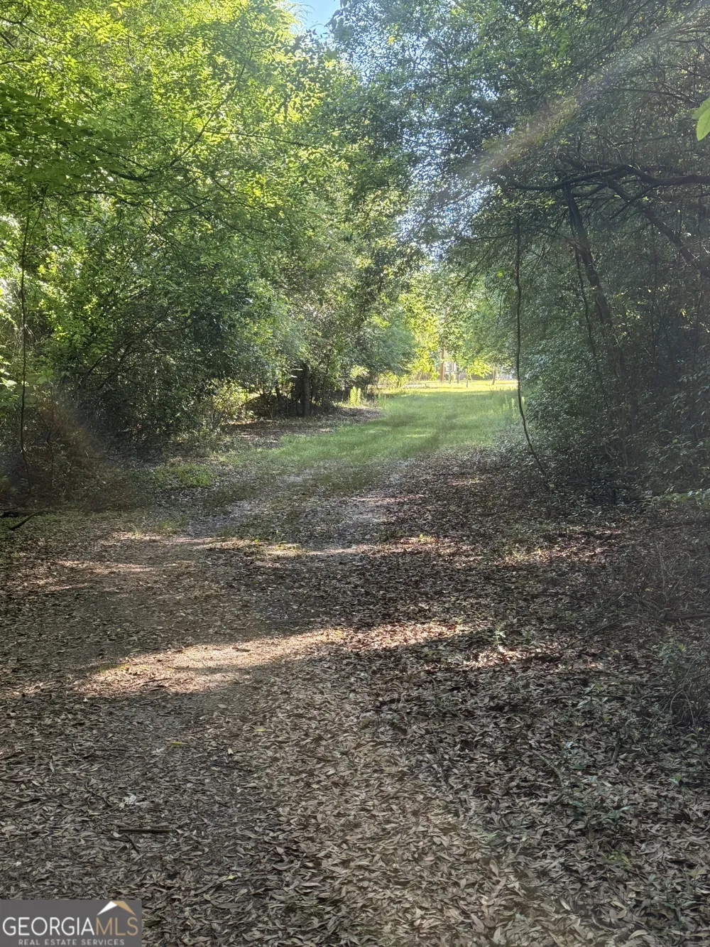 0 Thomas ST Montezuma, GA 31063