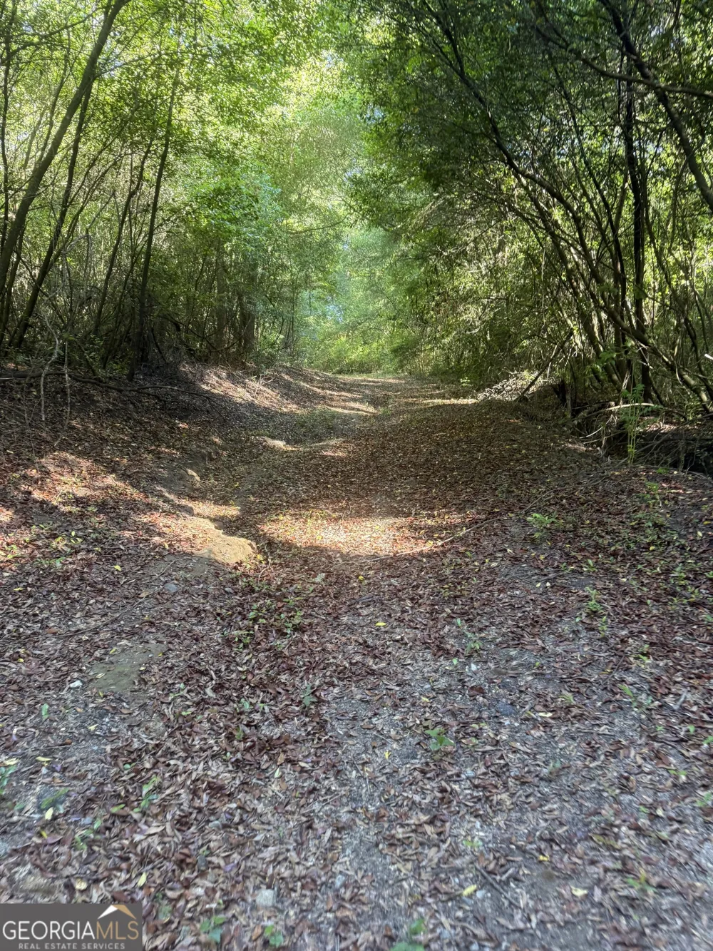 0 Thomas ST Montezuma, GA 31063