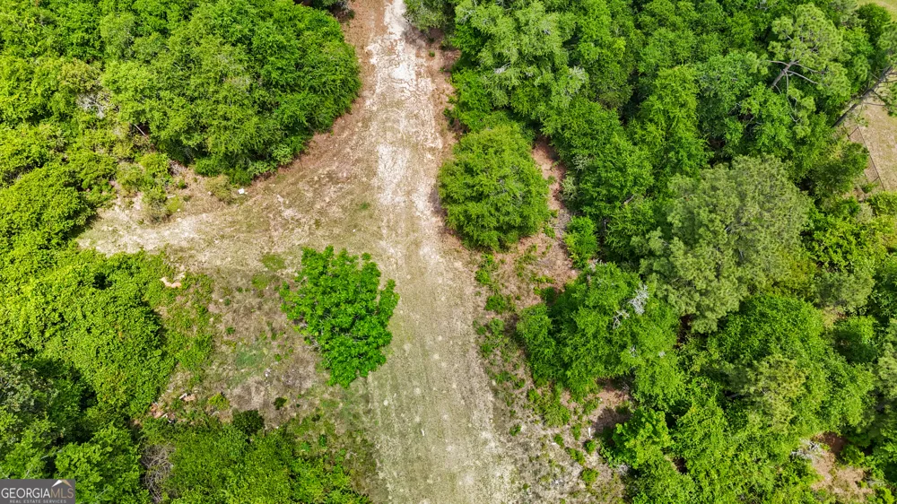 0 Thomas ST Montezuma, GA 31063