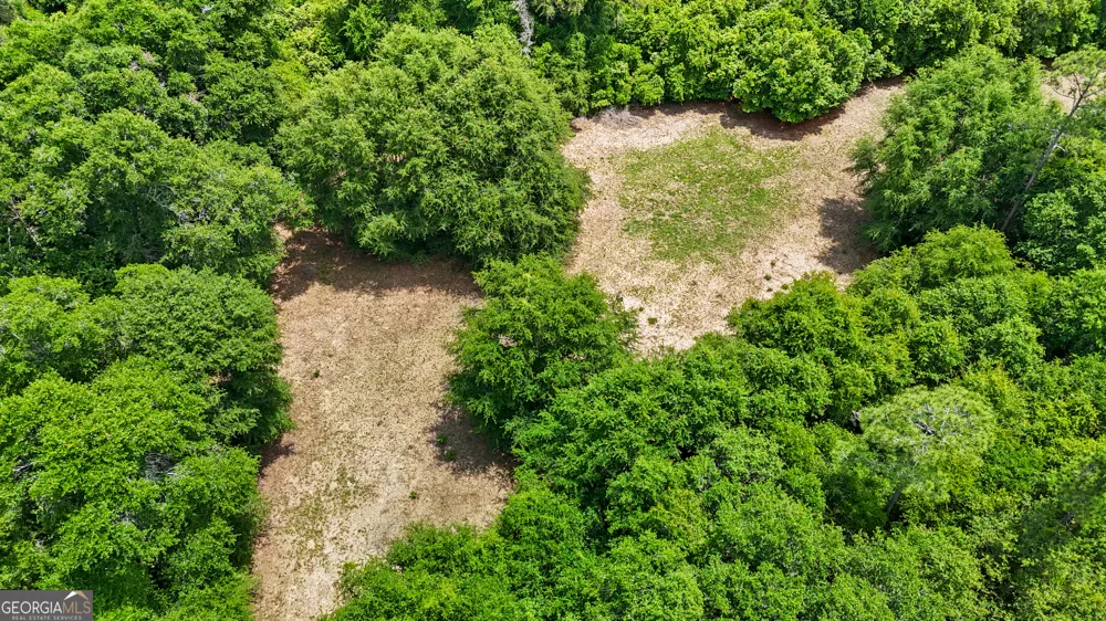 0 Thomas ST Montezuma, GA 31063