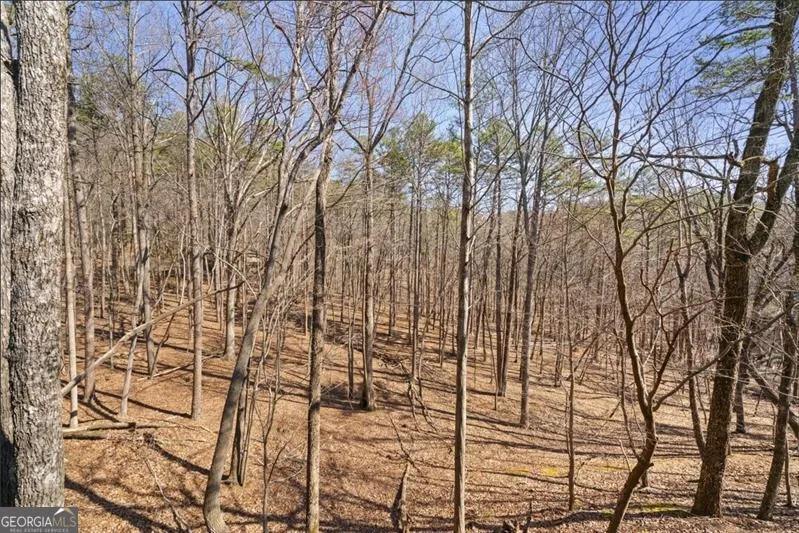 81 Cardinal CV Big Canoe, GA 30143