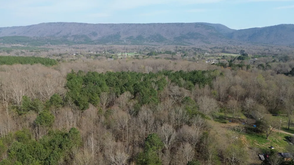 0 County Road 860 Delano, TN 37325