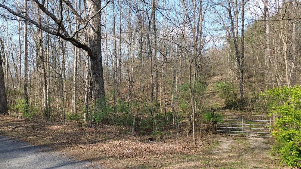 0 County Road 860 Delano, TN 37325