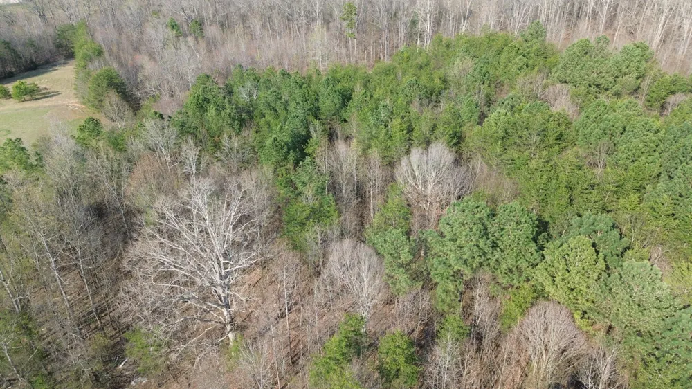 0 County Road 860 Delano, TN 37325