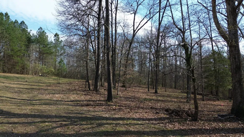 0 County Road 860 Delano, TN 37325