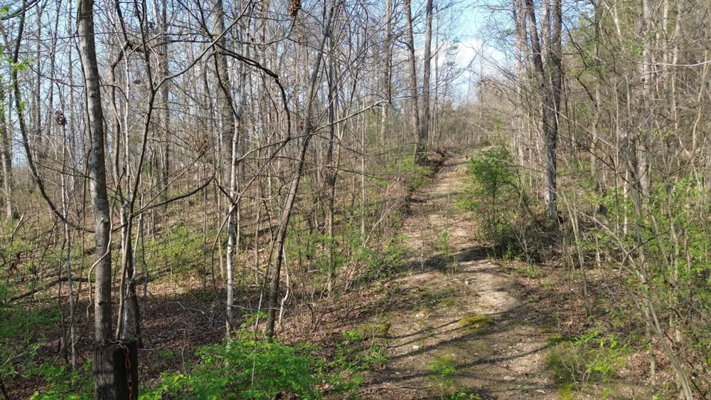0 County Road 860 Delano, TN 37325