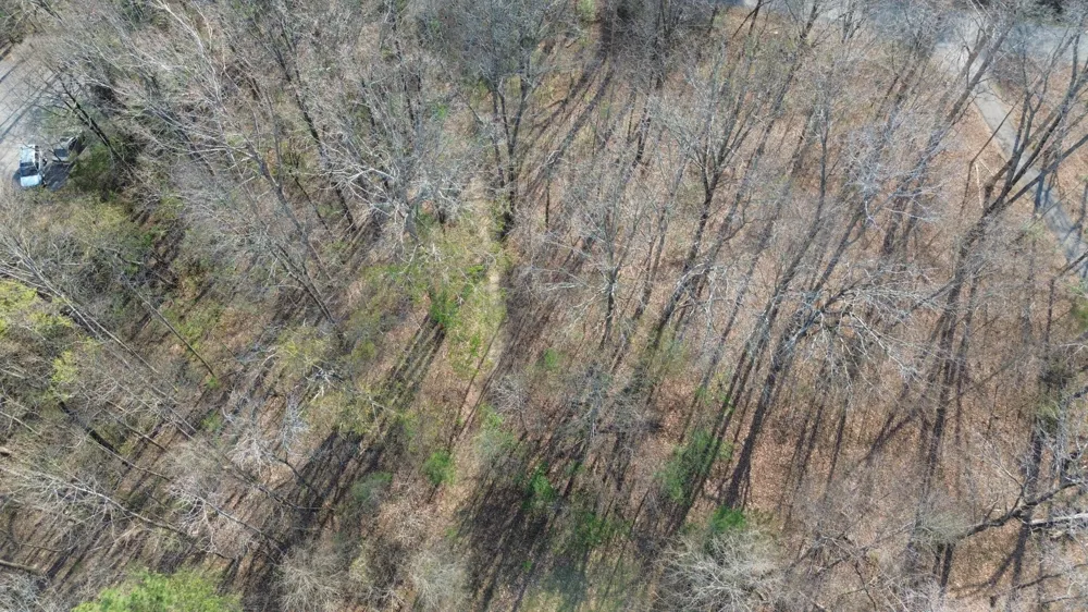 0 County Road 860 Delano, TN 37325