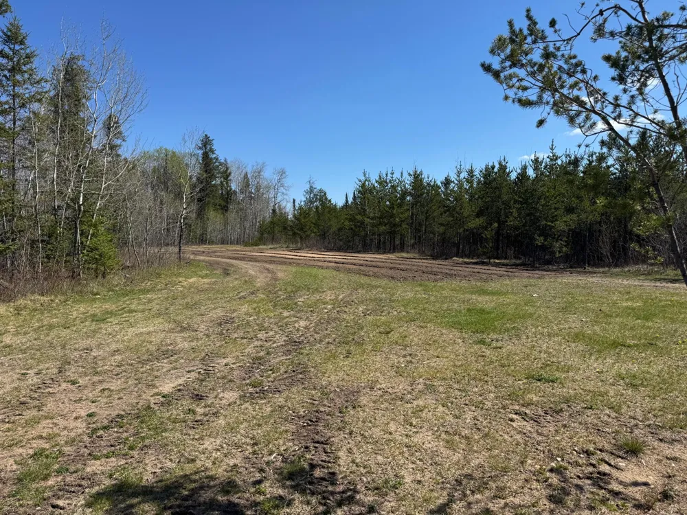 TBD Thompson Forest Road Roseau, MN 56751