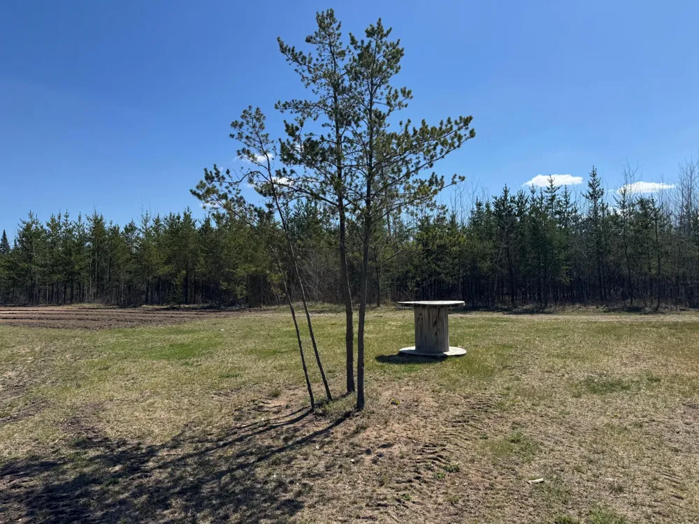 TBD Thompson Forest Road Roseau, MN 56751
