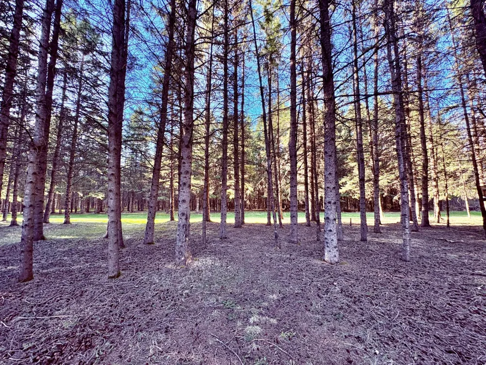 2640 18th Street NW Baudette, MN 56623
