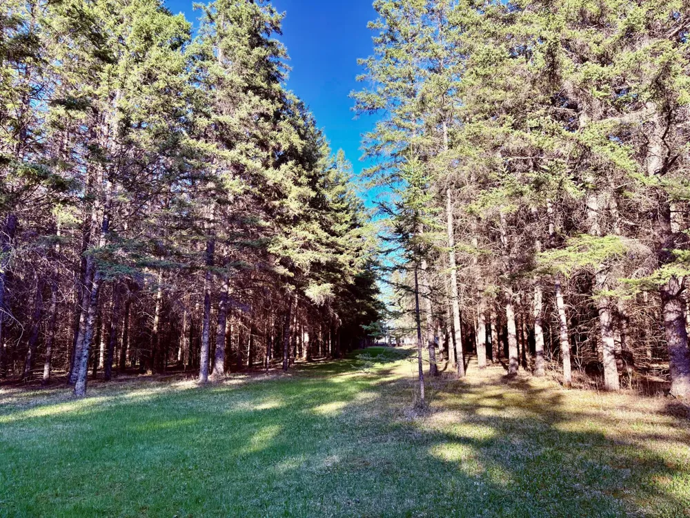 2640 18th Street NW Baudette, MN 56623