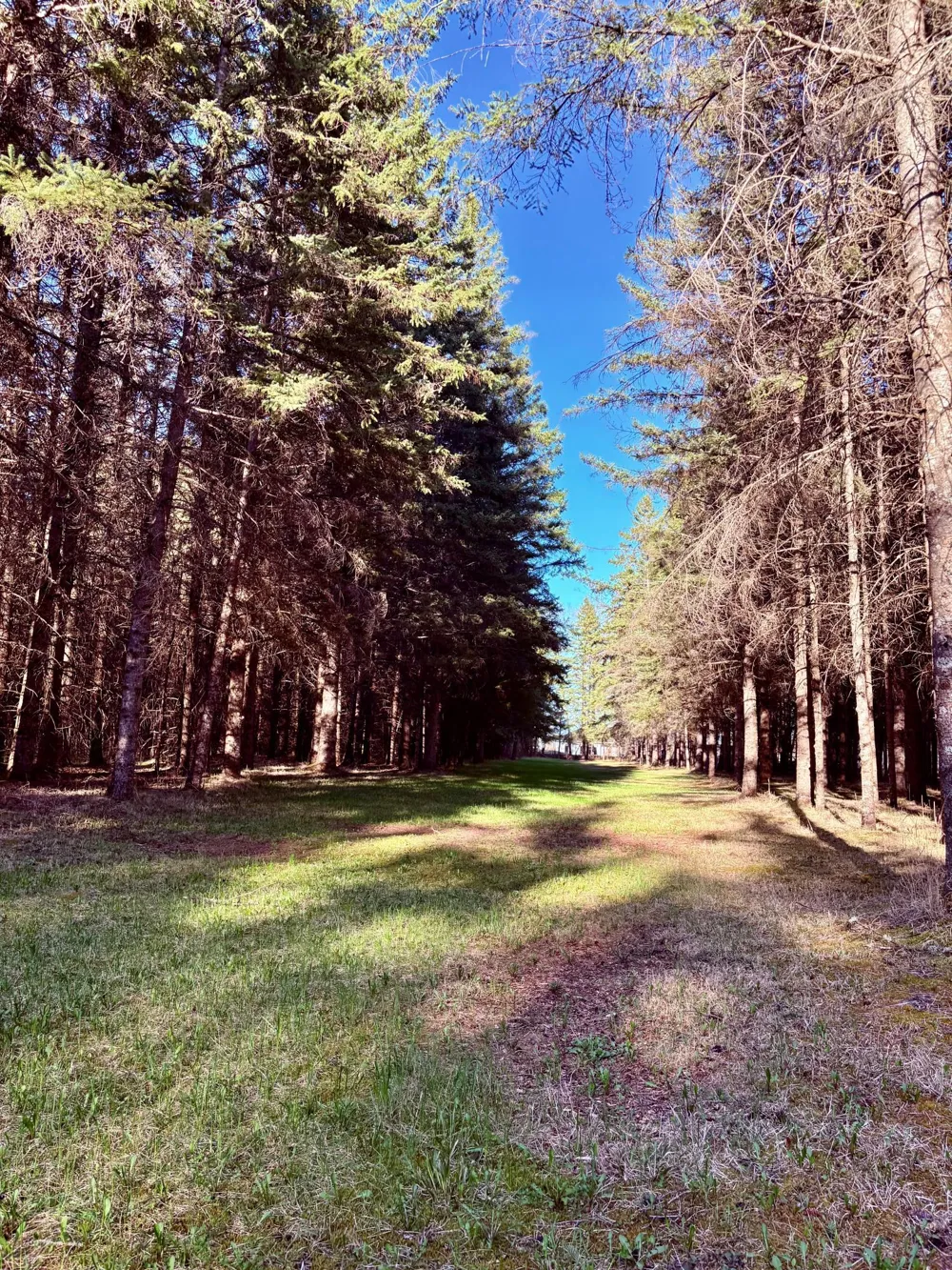 2640 18th Street NW Baudette, MN 56623