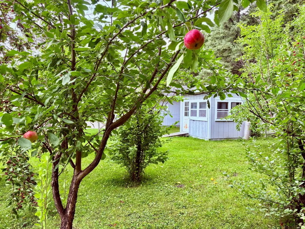 2640 18th Street NW Baudette, MN 56623