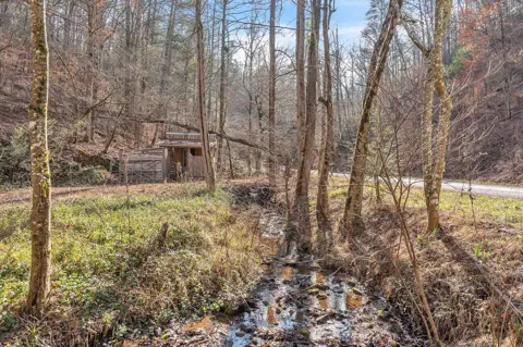 1559 Spring Creek Road