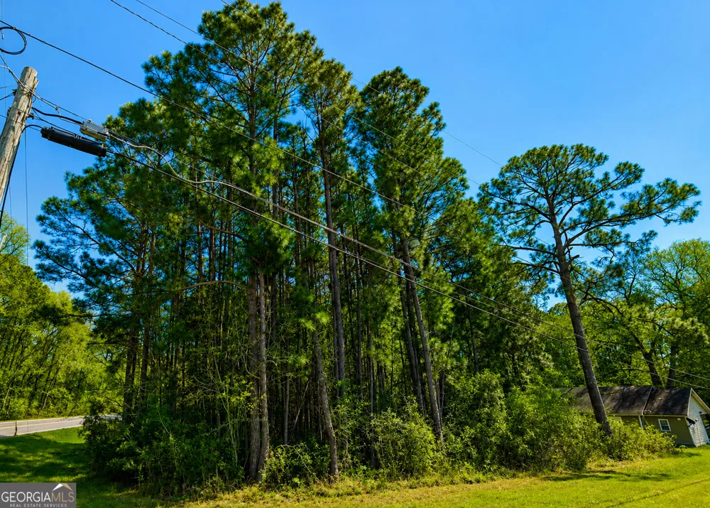 .77 ACRE Leary North RD Ashburn, GA 31714