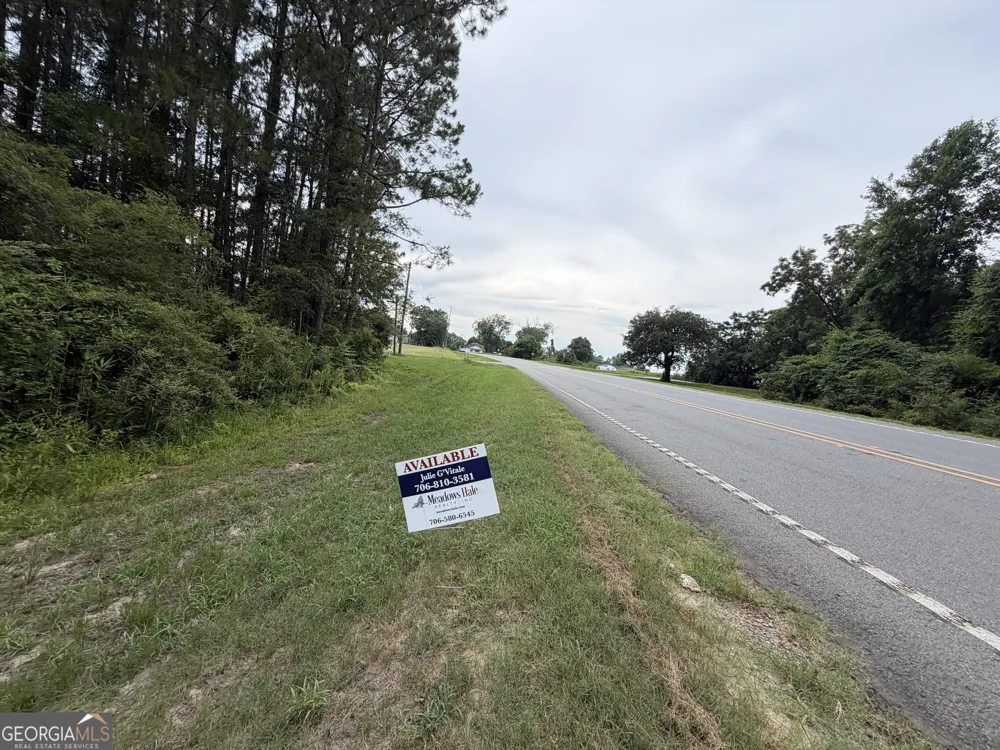 .77 ACRE Leary North RD Ashburn, GA 31714