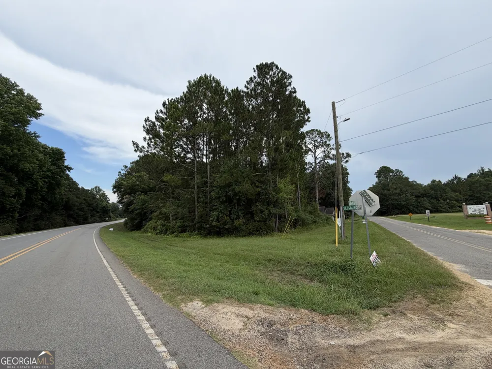 .77 ACRE Leary North RD Ashburn, GA 31714